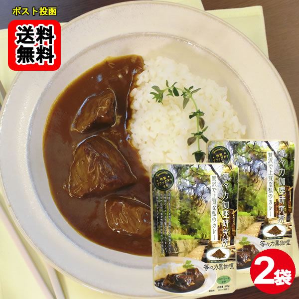 樂天商城 - 等々力黒カリー スパイシーな中辛 カレーフレーク 3～4皿分入り×2袋お試しセット 特性ブラックルウ使用【メール便送料無料】