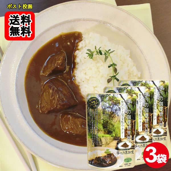 Rakuten - 等々力黒カリー スパイシーな中辛 カレーフレーク 3～4皿分入り×3袋お試しセット 特性ブラックルウ使用【メール便送料無料】
