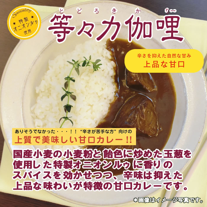 等々力伽哩研究所 上品な甘口カレー3～4皿分×2袋お試しセット 【メール便送料無料】 shopsugihara-10001248 ショップすぎはら サンプル画像2