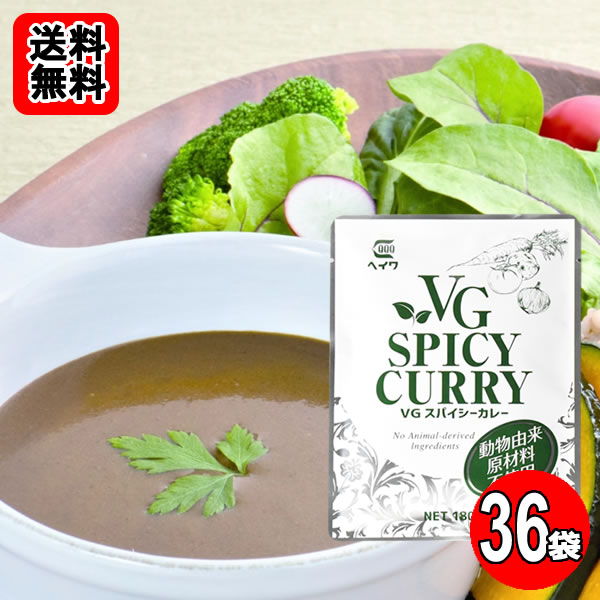 Rakuten - ベジタブルスパイシーカレー 動物由来原材料不使用 180g×36袋おまとめセット【送料無料】