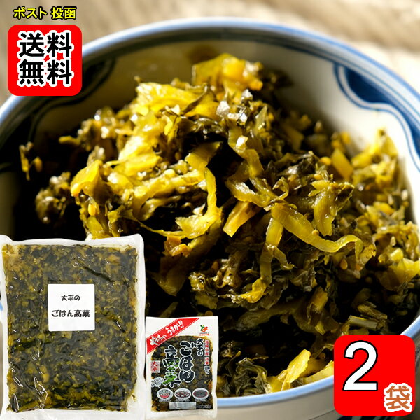 ごはん高菜 業務用 大袋 500g ×1袋　140g×1袋お試しセット 長崎県産高菜100%使用 大平食品【メール便送料無料】
