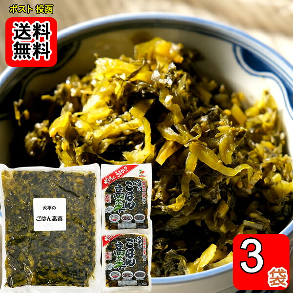 ごはん高菜 業務用 大袋 500g ×1袋　140g×2袋お試しセット 長崎県産高菜100%使用 大平食品【メール便送料無料】