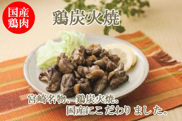 日向屋 宮崎名物 鶏炭火焼 100g×4袋お試しセット
