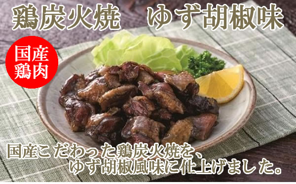 日向屋 宮崎名物 鶏炭火焼 ゆず胡椒味 100g×2袋お試しセット