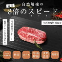 解凍プレート 解凍板 解凍ツール アルミ 速い 冷凍食品 肉 魚 野菜 自然解凍 省エネ 電気不要 祖熱取り クリスマスプレゼント お祝いギフト 急速解凍 冷解...