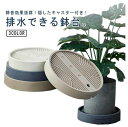 鉢台 静音キャスター キャスター付き 台車 鉢置台 鉢受台 受け皿 植木鉢台 鉢皿 ラウンド 受皿 室内 鉢置き 鉢植え台 プランタースタンド 清潔 丸型 花台 フラワースタンド 排水トレー付き 屋外 ガーデニング 受け皿 鉢置きスタンド(4)