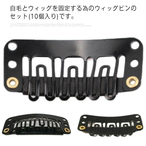 10個セット ウィッグ かつら ピン ウィッグ用 医療用 部分ウィッグ 全頭かつら 帽子 女性 男性 ファッション 部分ウイッグ ウイッグピン かつらピン アピース ウイッグ備品 パッチン 黒 10個セット ウィッグ かつら ピン ウィッグ用 医療用 部分ウィッグ 全頭かつら 帽子 女性 男性 ファッション 部分ウイッグ ウイッグピン かつらピン アピース ウイッグ備品 パッチン 黒