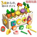 おもちゃ 知育玩具 魚釣り 可愛い 木のおもちゃ 出産祝い 1歳 2歳 3歳 男 女 誕生日 ギフト クリスマス プレゼント 知育玩具 知育玩具 誕生日 遊び ...