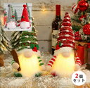 クリスマス 飾り LEDライト 2個セット 森の妖精 北欧 トムテ 人形 フェアリー サンタクロース ハンドメイド クリスマスノーム 飾り置物 インテリア 雑貨...