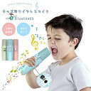 子供用マイク カラオケマイク 音声変更機能 usb充電式 カラオケマイク マイク 子供用 かわいい おもちゃ 4歳 5歳 6歳 小学生 女の子 男の子 こども 知育玩具 キッズ 誕生日 贈り物 入学式 クリスマスプレゼント(4)