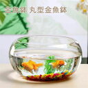 【楽天スーパーSALE】金魚鉢 丸型金魚鉢 水槽 小型水槽 飼育水槽 ガラス メダカ 水槽 メダカ鉢 透明 テーブル アクアリウム ボウル 観葉植物 大容量 お...