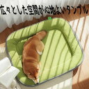 ペットベッドペット用 犬用 ふわふわ 超ボリューム カウチベッド ドッグベッド ペットマット 犬 子犬 子猫成犬 シニア 老犬 犬 猫 ワンちゃん 固綿 可愛い 春 夏 秋 冬 オールシーズン ゆったり 洗濯 介護 通年 洗える(4)