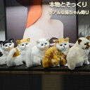 リアルな猫飾り お座り猫 ぬいぐるみ 猫 ぬいぐるみ 置物 ぶらさがり よじ登り猫 リアル猫 子猫 猫の置物 猫のぬいぐるみ 猫の雑貨 ねこ 縫いぐるみ リアル...