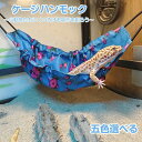 送料無料 ハンモック 2点セット 小動物用 ベッド 吊り下げ トカゲ 爬虫類 ヘビ 小動物 メッシュ 吸盤取り付け ハンギング ペット用品 ペットグッズ 三角 ...