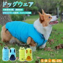 犬服 ドッグウェア 犬の服 ペッコート 服 犬 服 可愛い かわいい お散歩 お出かけ おしゃれ 秋 冬 冬ボーダー 派手 フワフワ 暖かい 新作 お揃い 色違...