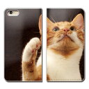 Xperia 5 SOV41 スマホ ケース 手帳型 ベルトなし 猫 にゃんこ キャット ペット ネコ スマホ カバー ねこ画像 eb28701_04(2)
