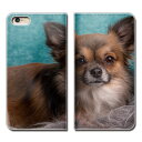 arrows NX9 F-52A スマホ ケース 手帳型 ベルトなし 犬 いぬ ペット かわいい dog スマホ カバー 犬写真 eb29103_05(2)