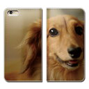 HUAWEI P20 lite P20lite ケース 手帳型 ベルトなし 犬 いぬ ペット ミニチュアダックス スマホ カバー 犬写真 eb29104_05(2)