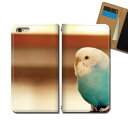 Xperia 5 SOV41 スマホ ケース 手帳型 ベルトなし インコ 小鳥 動物 アニマル スマホ カバー 動物 eb30002_02(2)