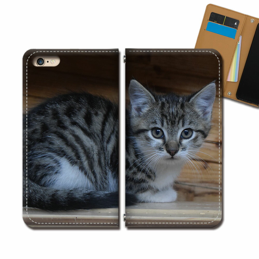 AQUOS sense4 SH-41A スマホ ケース 手帳型 ベルトなし 猫 ネコ ねこ 動物 アニマル スマホ カバー ねこ写真 eb31003_01
