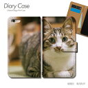Galaxy S23 ケース 手帳型 SM-S911C 猫 ねこ ネコ にゃんこ 動物 ペット 癒し スマホケース 手帳型 スマホカバー スマホ ケース 手帳 携帯ケース e036502_01 猫 ギャラクシー ぎゃらくしー ファイブジー(2)