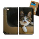 OPPO Reno5 A CPH2199 スマホケース 手帳型 ベルトなし 猫 ねこ ネコ にゃんこ 動物 ペット 癒し スマホ カバー 猫 バンドなし マグネット 手帳 携帯ケース eb36504_03 オッポ おっぽ(2)