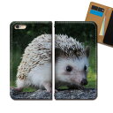 Galaxy A32 5G SCG08 スマホケース 手帳型 ベルトなし 写真 アニマル ハリネズミ はりねずみ スマホ カバー 動物 バンドなし マグネット 手帳 携帯ケース eb36704_01 ギャラクシー ぎゃらくしー ファイブジー(2)