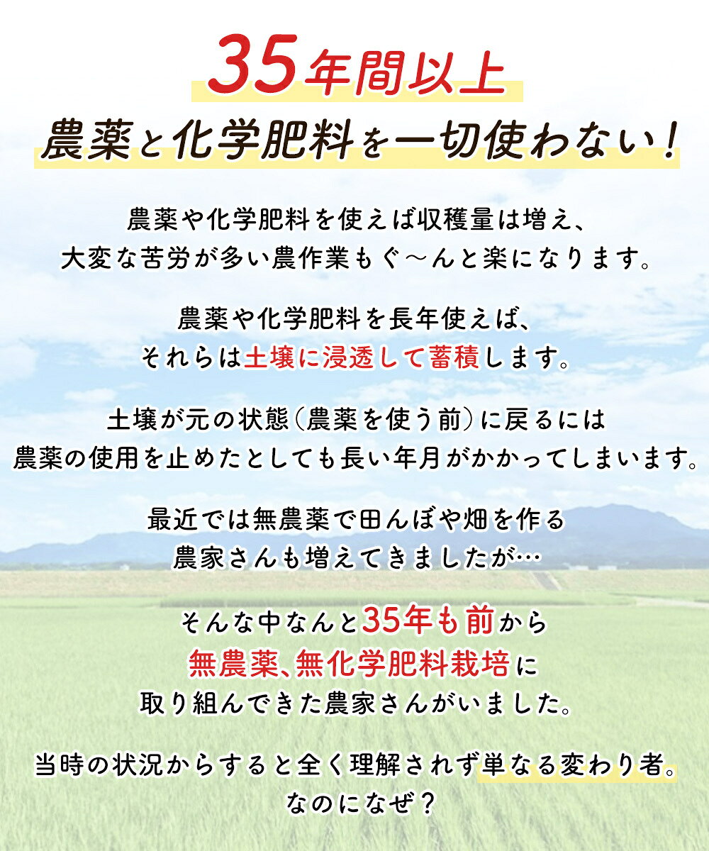 35年無農薬★400グラム　全粒粉（強力粉）熊本県産無農薬・化学肥料不使用・国産 shoptom-10000083 ショップTOM サンプル画像2