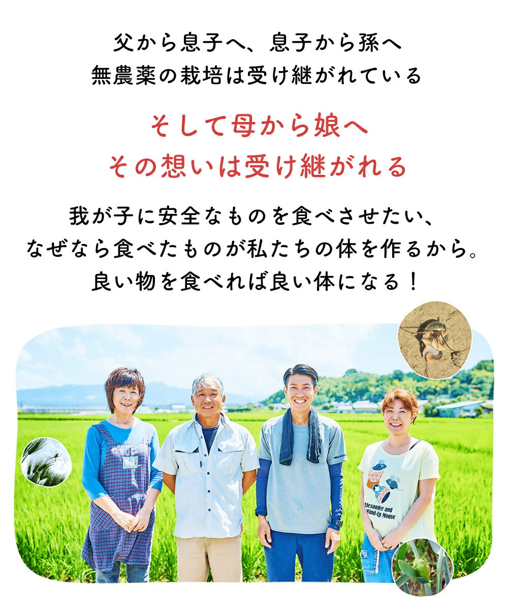 �ڷ��ܡ۷��ܸ���35ǯ̵���������������Ի��Ѥ��ʤ�