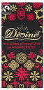 _[N`R[g Yx[ Divine Dark Chocolate with Raspberry 100g [sAi]