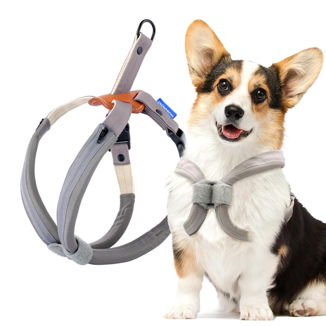 【ポイント優待キャンペーン】【ブラックフライデークーポン利用で割引中】【送料無料】CROWN KONI犬用..