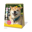 新日本カレンダー 2025年 カレンダー 卓上 柴犬まるのおしゃべり週めくり NK4308