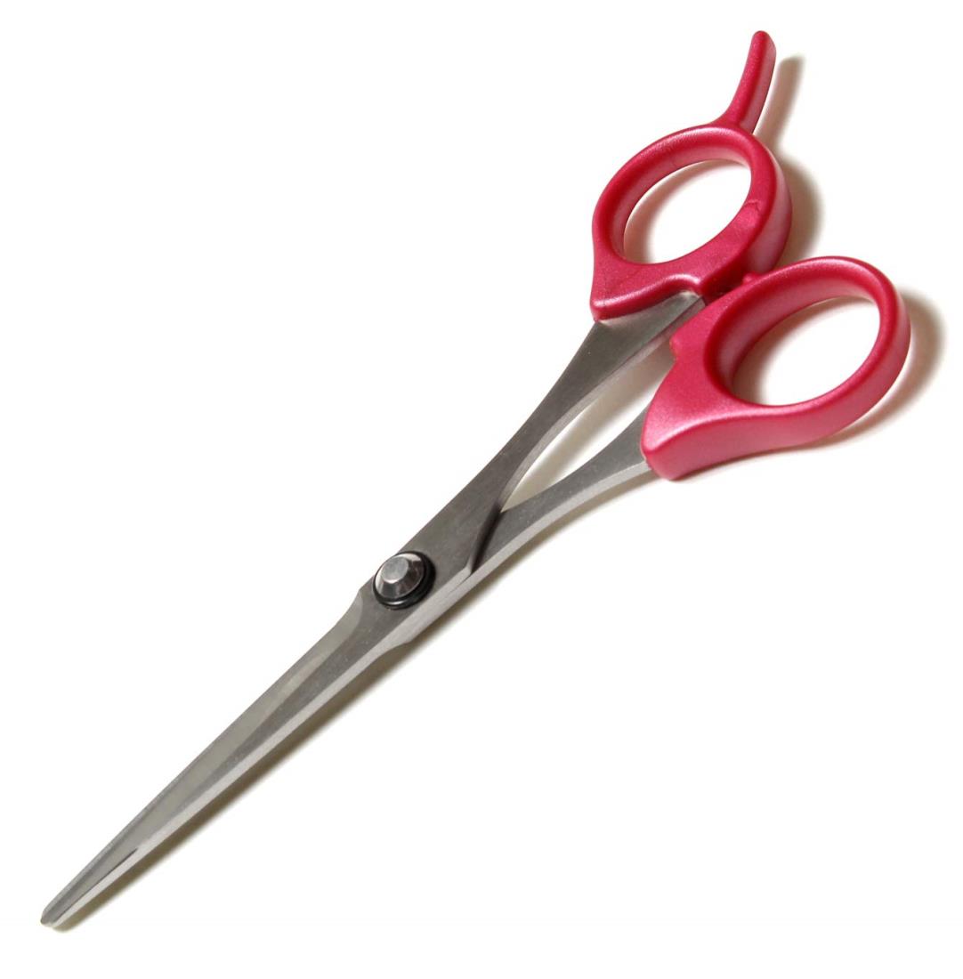 【ポイント優待キャンペーン】【ブラックフライデークーポン利用で割引中】【送料無料】キヌガワカンパ..