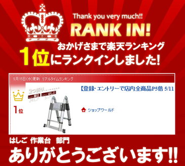 [安心の3ヶ月保証付き] はしご 伸縮 脚立 アルミ 伸縮はしご 折りたたみ 5m DN-FSL50 DNFSL50 安全ロック 保証付き アルミ製 アルミはしご 梯子 ハシゴ 伸縮梯子 伸縮ハシゴ ラダー 軽量 足場台 折り畳み 幅広 軽量 作業台 足場 足場台 はしご 梯子 脚立