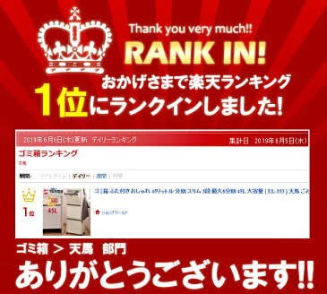 ゴミ箱 ふた付き おしゃれ 45リットル 分別 スリム 3段 最大6分別 45L 大容量 [ EL-353 ] 天馬 ごみ箱 縦型 多段分別 ダストボックス キャスター ペール キッチン