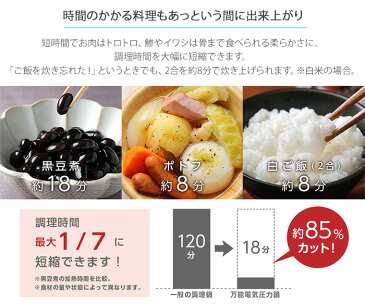 万能電気圧力鍋 電気鍋 電気圧力なべ KLPT-02AB 高圧力 圧力調理 肉じゃが チーズフォンデュ 炊飯 炊飯ジャー ヨーグルト 煮込み 炊飯 蒸し調理 低温調理 LITHON ライソン KLPT-02AB シンプル おしゃれ