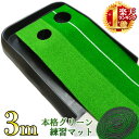 パターマット 3m 室内 パター練習マット パター練習器具 練習 30cm × 3m 2ホール ホール幅 8.5cm 6.5cm スポーツ 練習グッズ 上達 グリーンマット マット パッティング パット パター パッティングマット 練習用 パター練習 練習器具 練習 家庭用 屋内 自宅