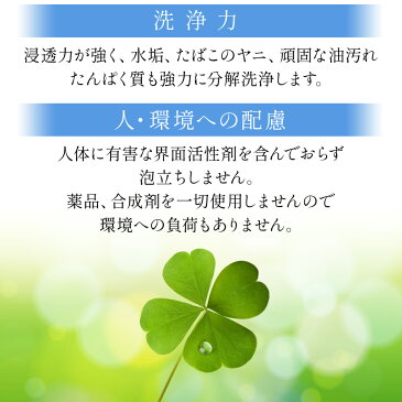 除菌スプレー 携帯用 手 100ml 日本製 1本セット ウイルス対策 菌 99.9％ 除去 次亜塩素酸水 手指 ノンアルコール 殺菌 除菌 対策 消臭スプレー 手 顔 食品 ペット 消臭 スプレー 送料無料