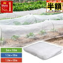 \ 半額 & 500円オフ / 14日 20時〜先着★ 防虫ネット 害虫ネット 虫よけネット ネット プランター 家庭菜園 害虫ネット 畑 ベランダ ハウス 害...