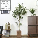 \ 半額 & 500円オフ★9日18時〜先着 / 観葉植物 オリーブ オリーブの木 ユーカリ 150cm 180cm フェイクグリーン インテリア おしゃれ か...