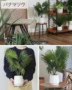 shopworld:10140985のサンプル画像3