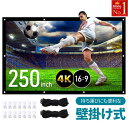 \ 半額 & 500円オフ★9日18時〜先着 / プロジェクター スクリーン 大画面 大きい 吊り下げ 壁 セット 250インチ 250inch 壁掛け 業務用...