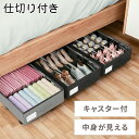 \ 半額 & 5%オフ / 19日 18時〜先着★ ベッド下収納 キャスター付き 収納ボックス 折りたたみ 収納ケース 中が見える フタ付き 薄型 収納 引き出...