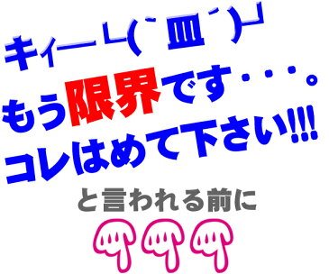 【 2P 計4個セット 】 歯ぎしり マウスピース マウスガード 2個セット ×2 いびき防止 歯ぎしり防止 いびき対策 いびきグッズ 歯形 歯ぎしりマウスガード マウスピースケース付き 送料無料