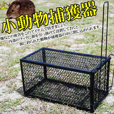 【 送料無料 】 餌吊式 小動物捕獲器 15×15×30cm アニマル キャッチャー 野生動物 小動物 捕獲 駆除 トラップ 罠 ワナ 作物荒らし 家畜被害 防止 被害 ガーデン お庭 家庭菜園 イタチ ネズミ モグラ ヘビ 鳥 経済的 ★★