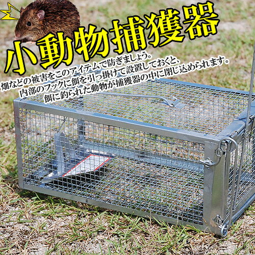 【送料無料】 餌吊式 小動物捕獲器 15.5×11×27cm アニマル キャッチャー 野生動物 小動物 捕獲 駆除 トラップ 罠 ワナ 作物荒らし 家畜被害 防止 被害 ガーデン お庭 家庭菜園 イタチ ネズミ モグラ ヘビ 鳥 経済的 ★★