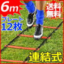 トレーニングラダー プレート12枚 6m オレンジ 連結タイ...