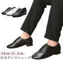 男性 ダンスシューズ ダンス 室外用 室内用 社交ダンスシューズ メンズ 24cm-27.5cm シューズ 社交ダンス ヒール タンゴ ラテンダンスシューズ 2...