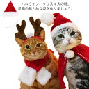 猫用 サンタ キャップ 犬用 仮装 コスプレ 猫 衣装 可愛い マント 散歩 ねこ クリスマス サンタクロース 着ぐるみ ペット服 犬 犬服 ドッグウェア キャットウェア コスチューム サンタローブ かわいい おしゃれ 仔猫 小型犬 中型犬 猫服