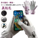 レディース スノーボード スキー スキー スノーグローブ 撥水 スキー スノボ グローブ ミトン バイク 手袋 五本指登山 防水 滑り止め 五本指 メンズ 防寒...